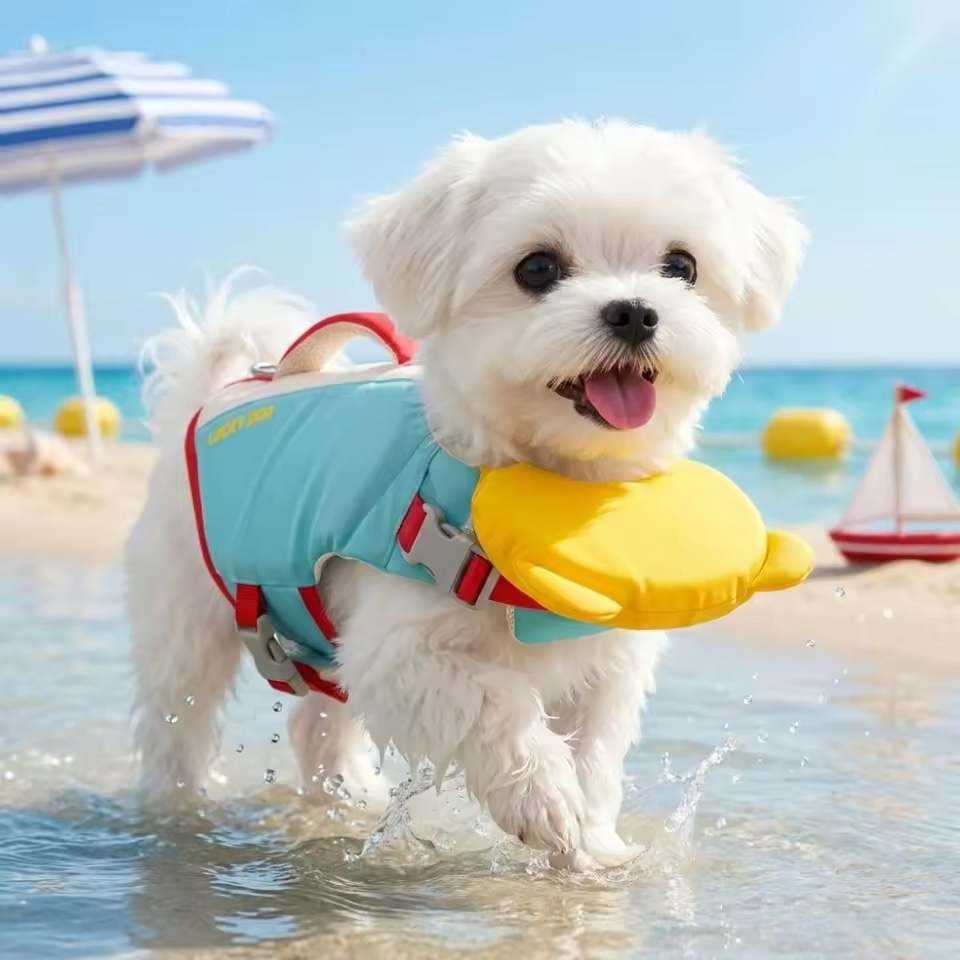 SplashPups SharkShield Life Vest 2.0